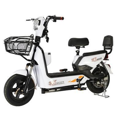 國標(biāo)車電動車什么意思