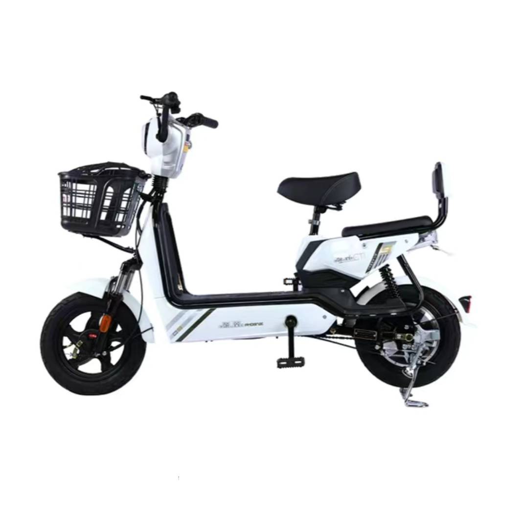 PHOENIX 鳳凰 新國標 電動車